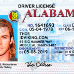 Alabama AL Drivers License PSD Template Download IDViking Best