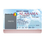 Alabama Driver License PSD Template Drivers License Psd Templates