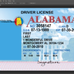 Alabama Driving Licence PSD Template Hacking Tools For Free