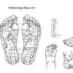 All Best Foot Reflexology Charts Free Download