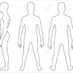 Anatomical Position Blank Human Body Diagram 27 Blank Human Body