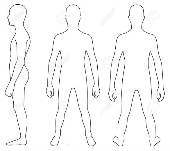 Anatomical Position Blank Human Body Diagram 27 Blank Human Body 