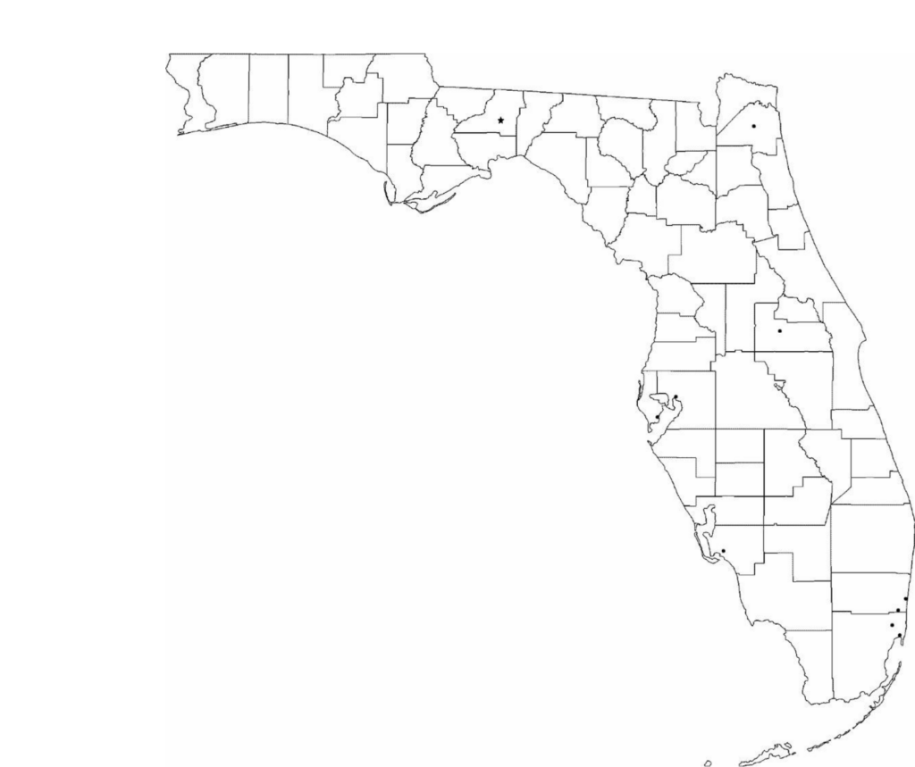 Blank Florida City Map Free Download