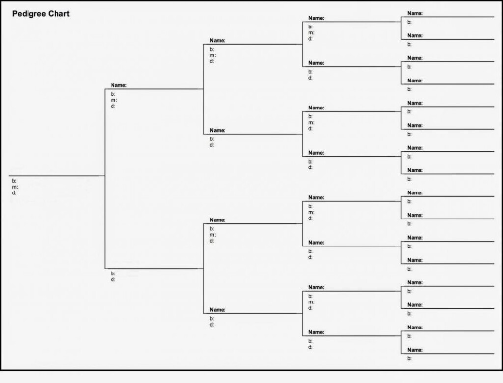 Blank Pedigree Chart Template Business