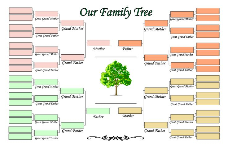 Create A Family Tree Blank Family Tree Family Tree Printable Family