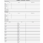 EasyGenie 40 Blank Family Group Sheets double sided