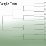 Fill In Family Tree Fresh Blank Family Tree Chart Template Geneology