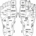 Foot Reflexology Massage About Foot Reflexology Reflexology Foot
