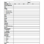 FREE 8 Sample Blank Physical Forms In PDF