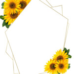 Free Printable Template Oh Baby Sunflower Baby Shower For Girl Baby