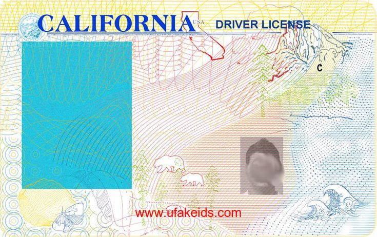 Image Result For California Drivers License Template Ca Drivers 
