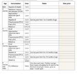 Immunization Record Form Fill Out And Sign Printable PDF Template