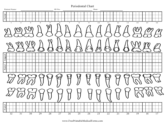 Periodontal Chart Template Download Printable Pdf Templateroller