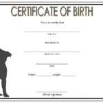 Pet Birth Certificate Qwlearn