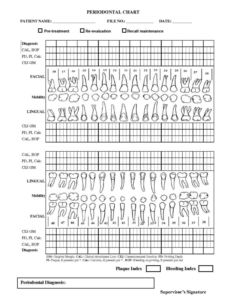 Printable Chart Printable perio chart 1 Printable Perio Chart Dental 
