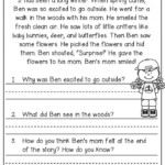 Reading Comprehension What Do You Think Worksheets 99Worksheets