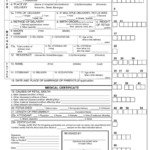 83 Blank Death Certificate Form Page 5 Free To Edit Download Print