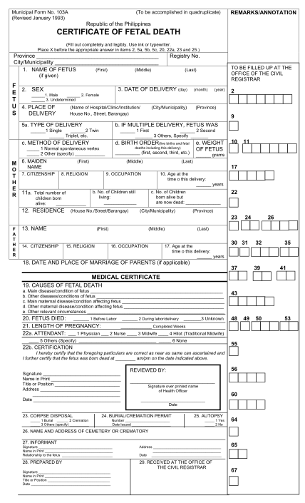 83 Blank Death Certificate Form Page 5 Free To Edit Download Print 