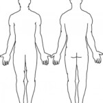 Blank Body Human Body Diagram Body Template Body Outline