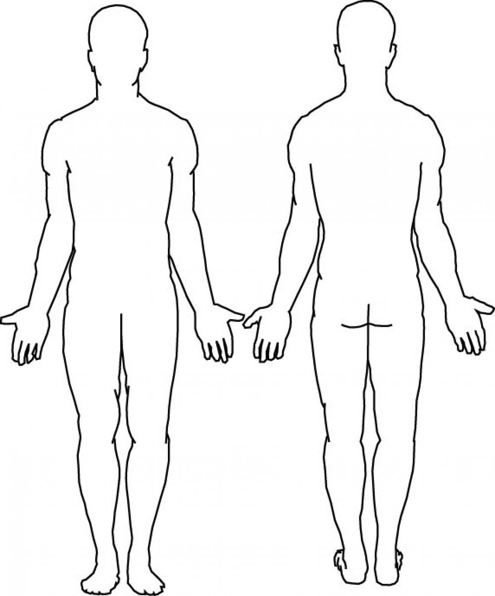 Blank Body Human Body Diagram Body Template Body Outline
