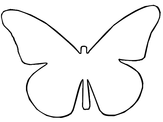Blank Butterfly ClipArt Best