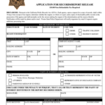 Blank Police Report Template 2020 2022 Fill And Sign Printable