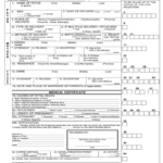 Death Certificate Template Philippines Fill Online Printable