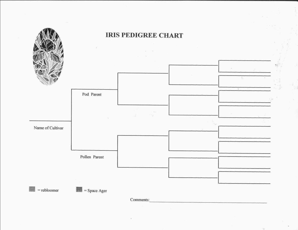 Dog Family Tree Template Online Free Printable Chart Blank Charts To 