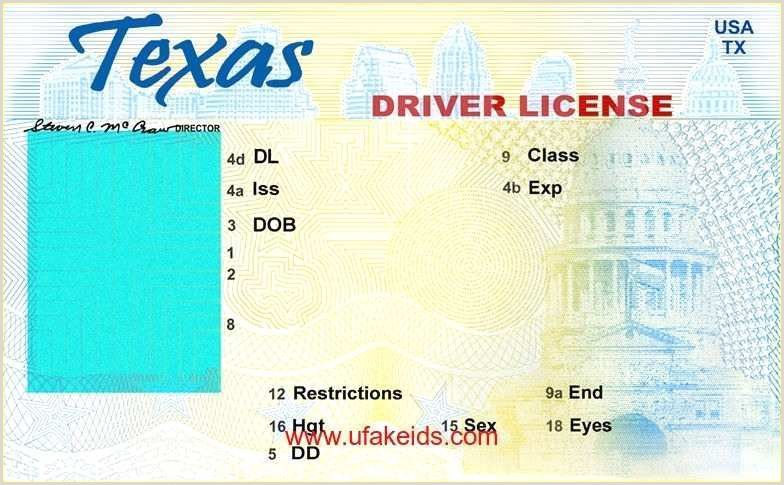 Fillable Editable Blank Drivers License Template Pic county