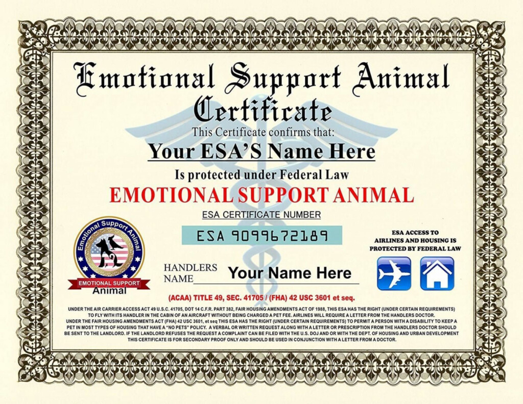 Get Our Sample Of Emotional Support Animal Certificate Template 