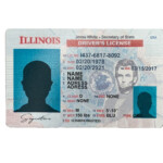 Illinois Driver License PSD Template NEW Everythingallhere Store