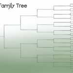 Pin By Al Woods On Random Family Tree Printable Family Tree Template